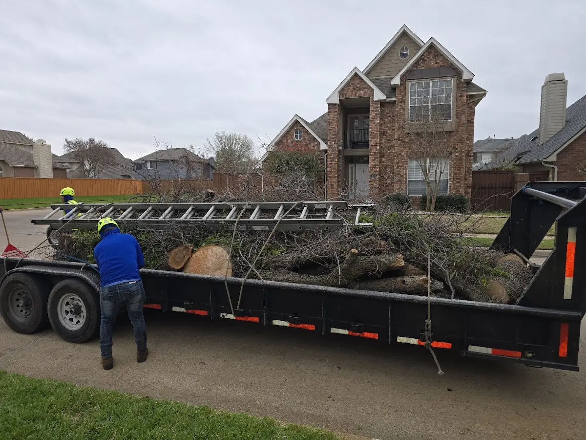 Expert Tree Removal with proper safety equipment in Stroudsburg